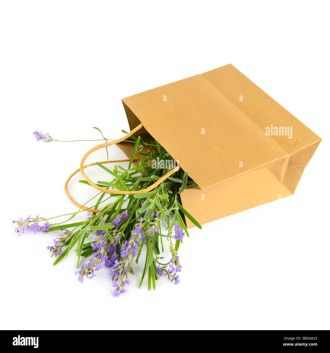 Lavendelblumenstrauß in einem Papierbeutel isoliert auf weißem Hintergrund. Stockfoto