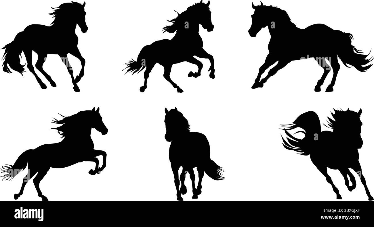 Set mit schwarzer Silhouette Illustration des Pferdes Stock Vektor