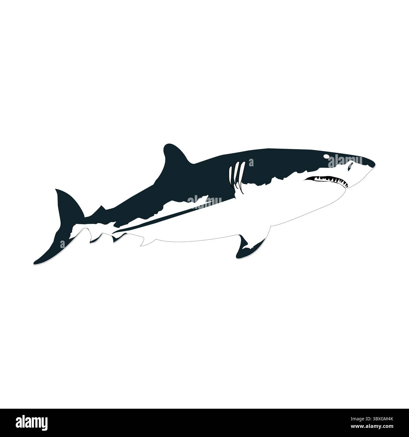 Flache Form von Silhouetten im Shark-Design Stock Vektor