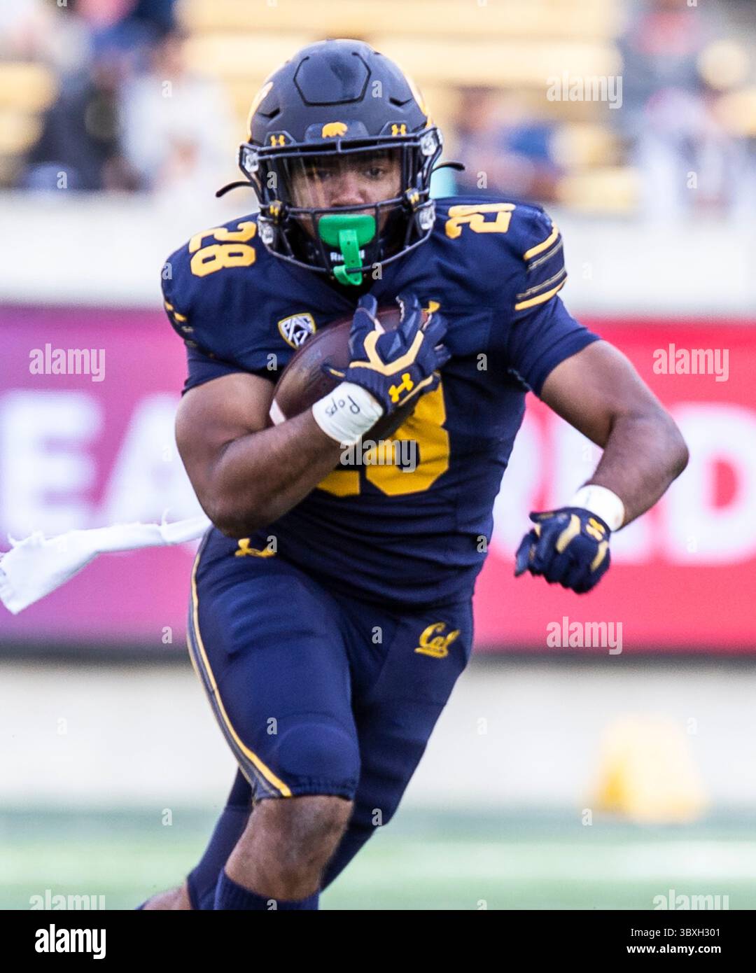 30. Oktober 2021 Berkeley, CA USA Kalifornien Running Back Damien Moore (28) Spielstatistik 11 Carrier für 111 Yards und einen Touchdown während des NCAA Football Spiels zwischen Oregon State Beavers und den California Golden Bears. Kalifornien gewann 39-25 im FTX Field im California Memorial Stadium. Thurman James/CSM(Credit Image: &Copy; Thurman James/CSM via ZUMA Wire) Stockfoto