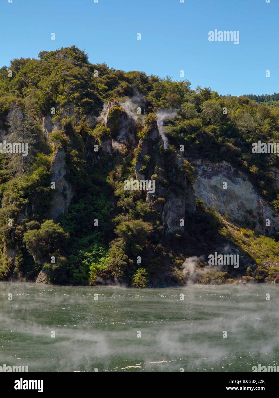 Frying Pan Lake oder Waimangu Cauldron, New Zealnd. Grüne Tropische Hügel Über Dem Heißen Thermalsee. Dampf steigt über die Warmwasseroberfläche. Stockfoto