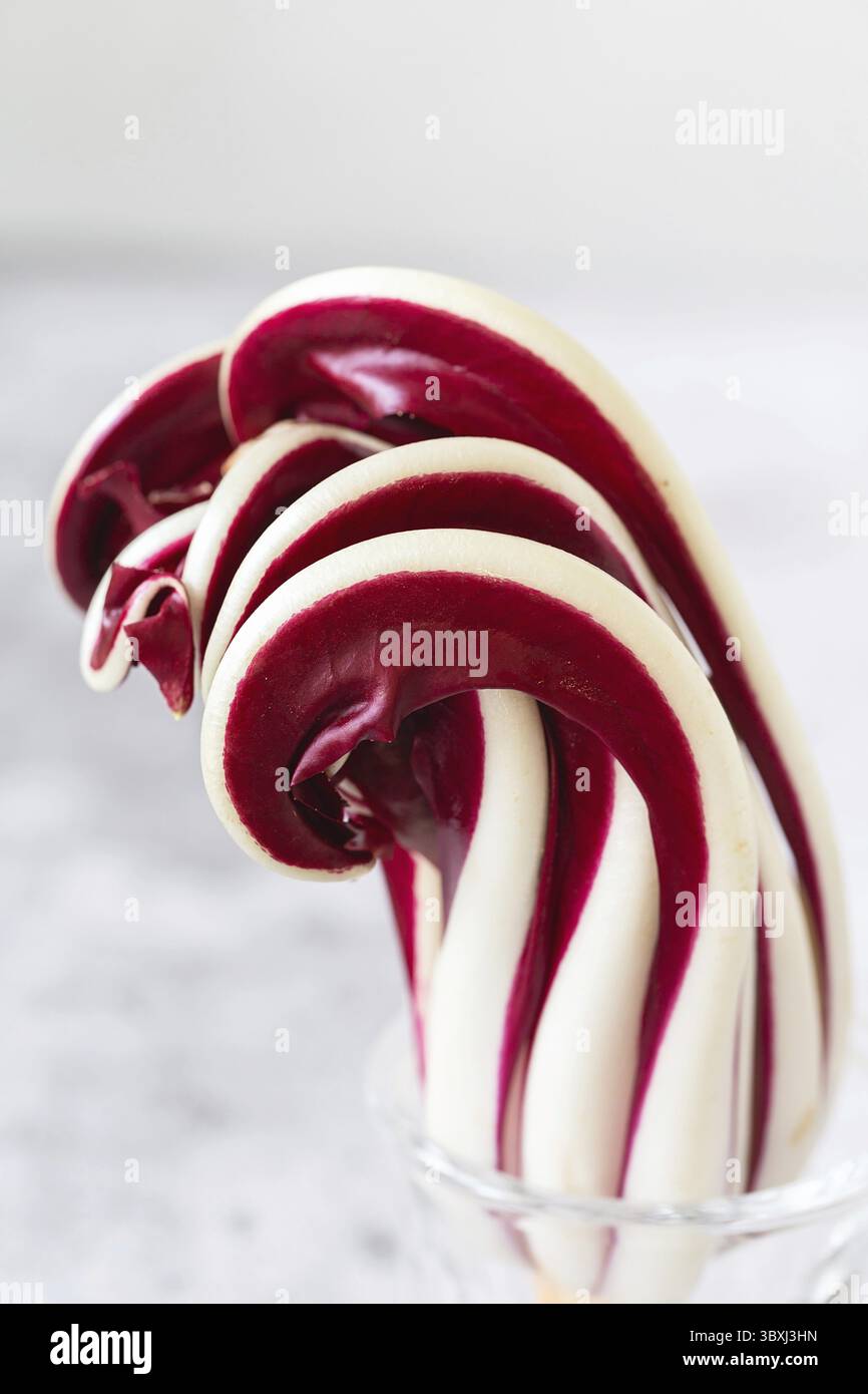 Radicchio Rosso di Treviso. Leuchtendes Rot mit einem leicht bitteren Geschmack, Radicchio Rosso di Treviso g.g.A. verwendet natürliches Quellwasser, um seine Parti herauszubringen Stockfoto