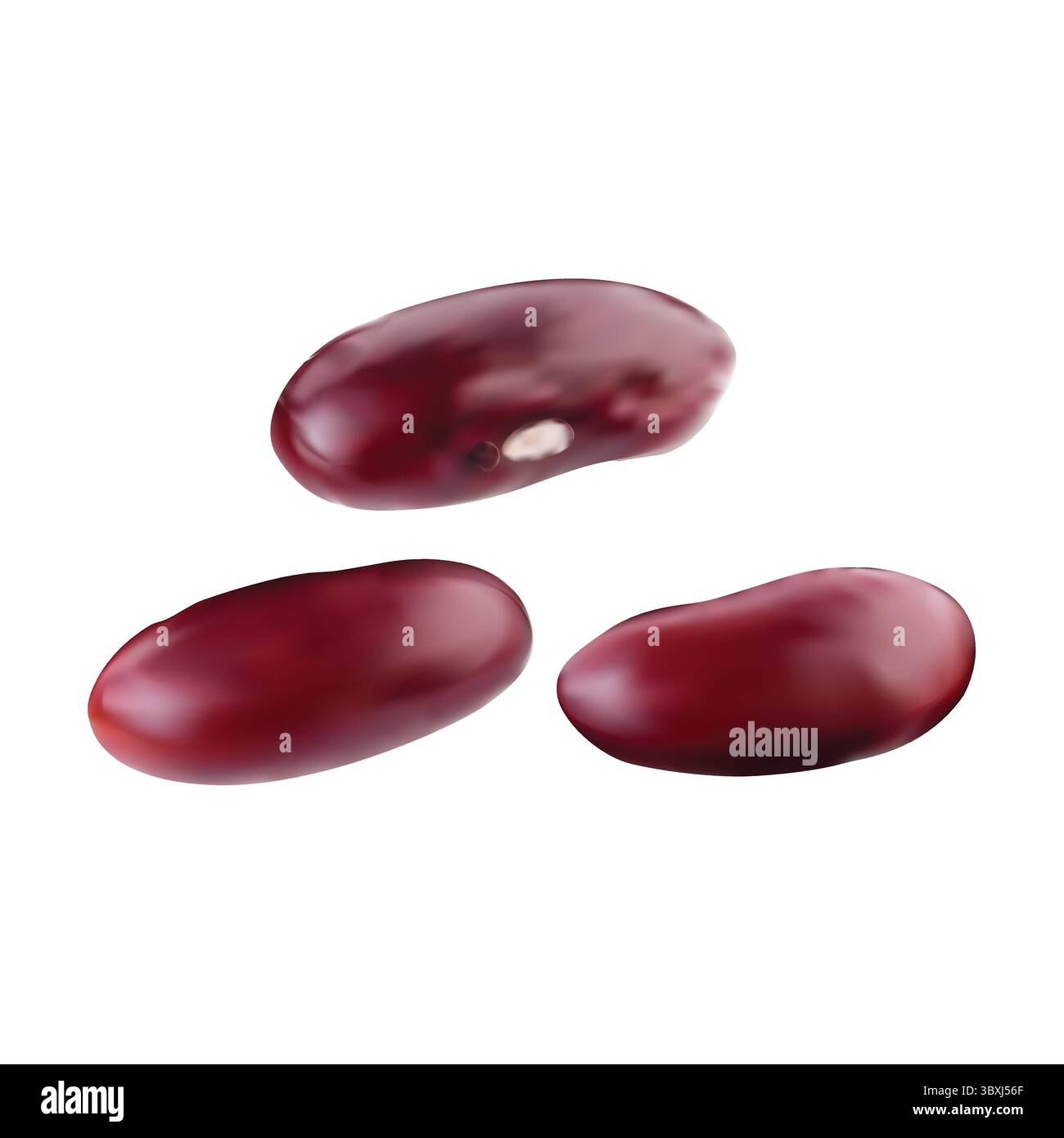 Kidney Beans Illustration auf weißem Hintergrund vol 01 Stock Vektor