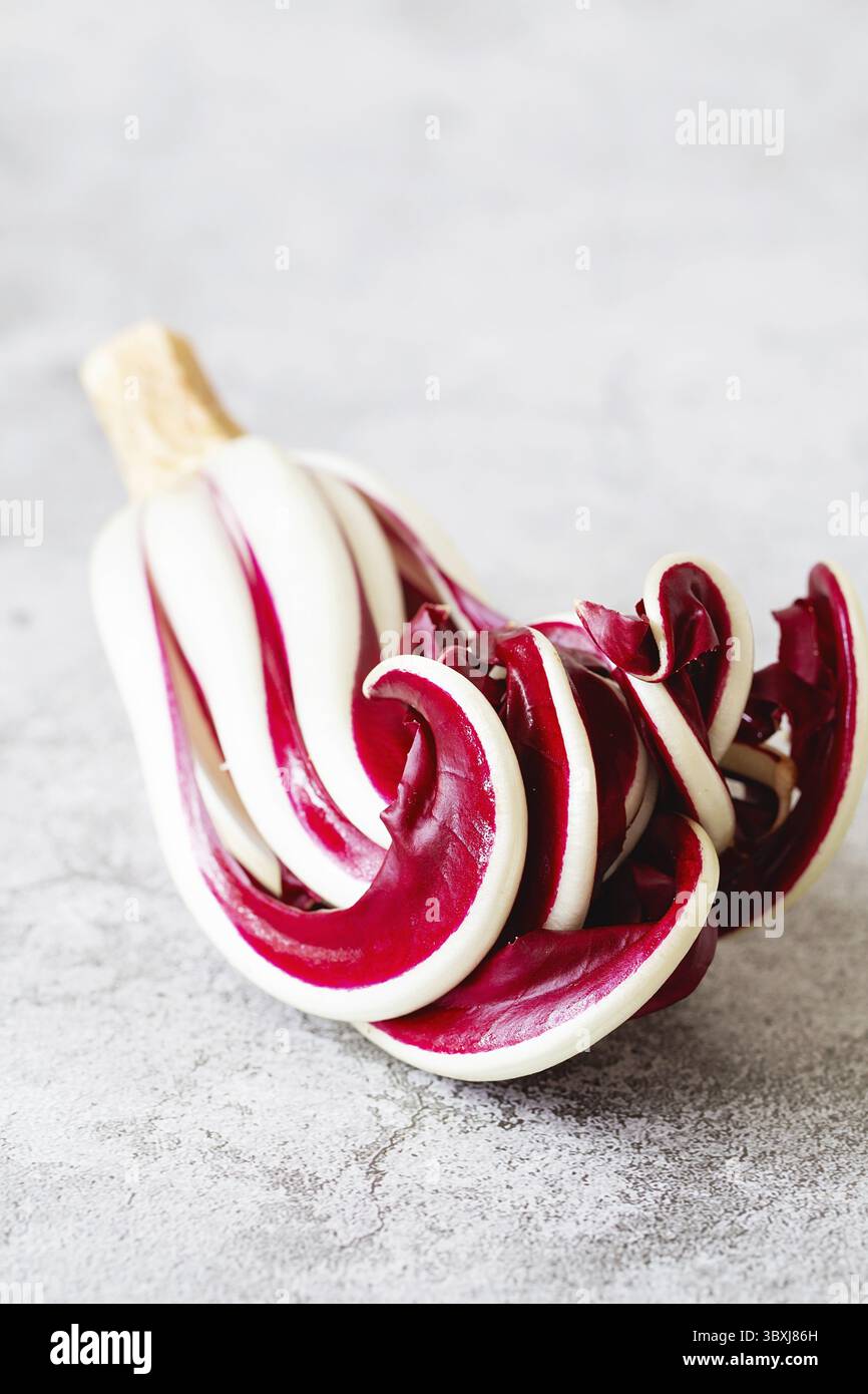 Radicchio Rosso di Treviso. Leuchtendes Rot mit einem leicht bitteren Geschmack, Radicchio Rosso di Treviso g.g.A. verwendet natürliches Quellwasser, um seine Parti herauszubringen Stockfoto