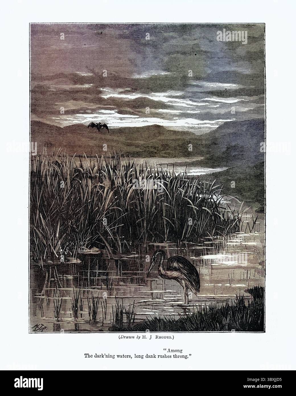 Vintage-Illustration von unter, dunkle Wasser, lange feuchte Rauschen drängen, viktorianisch, 19. Jahrhundert. Von John Lawson, 1877, The Quiver Stockfoto