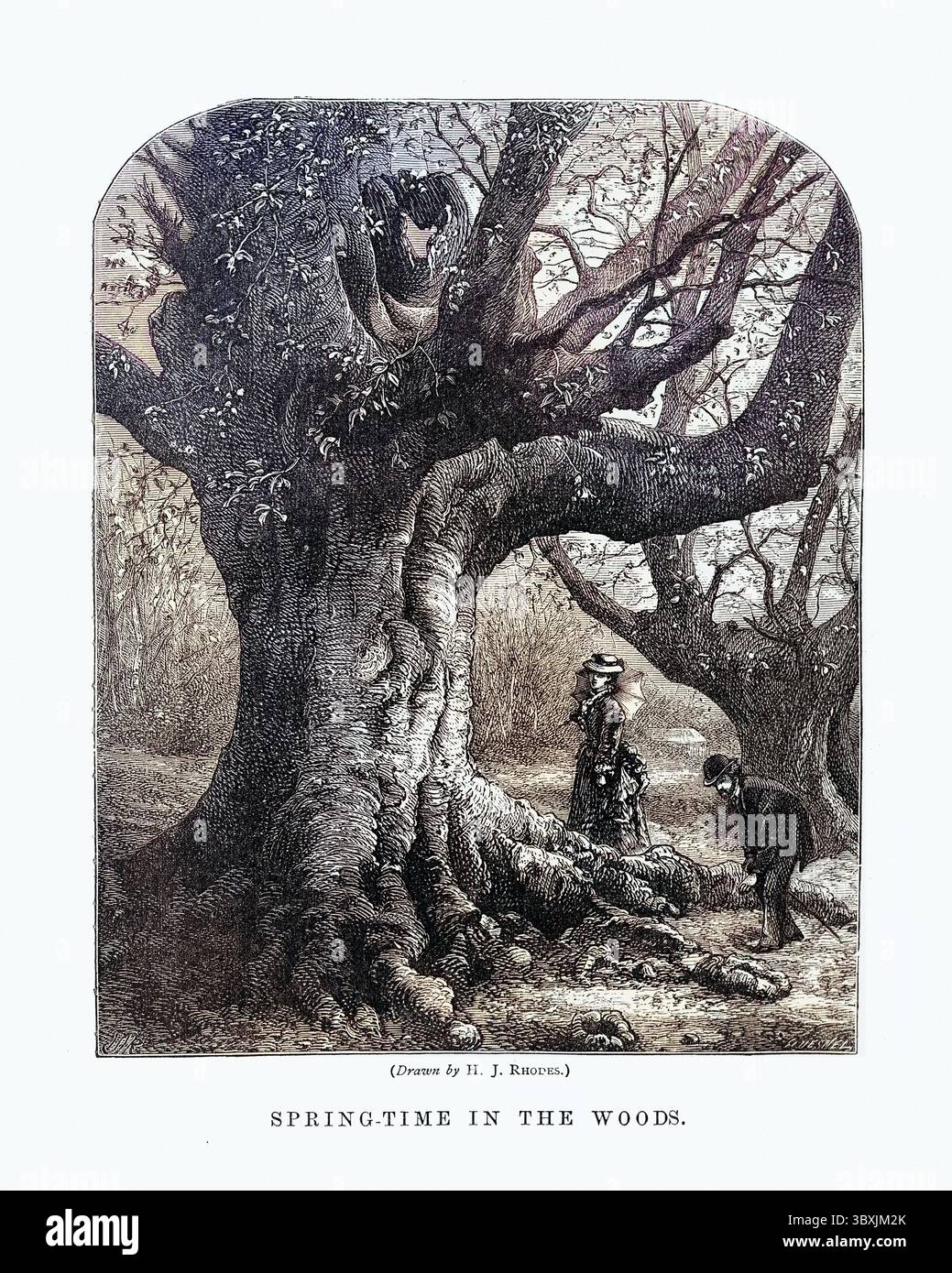 Vintage-Illustrationspazierenpaar, das in der Zeit der 1870er Jahre im 19. Jahrhundert durch den Wald spaziert Stockfoto