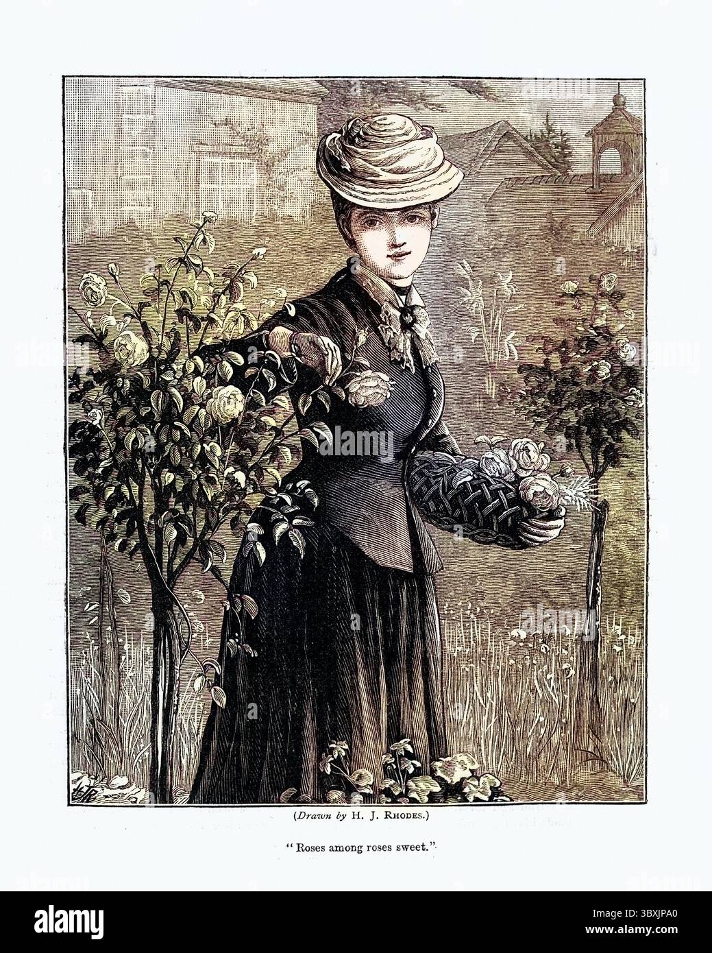 Vintage-Illustration Junge Frau, die Rosen im Garten pflückt, viktorianisch, 19. Jahrhundert. Rosen Amoung Rosen süß Stockfoto