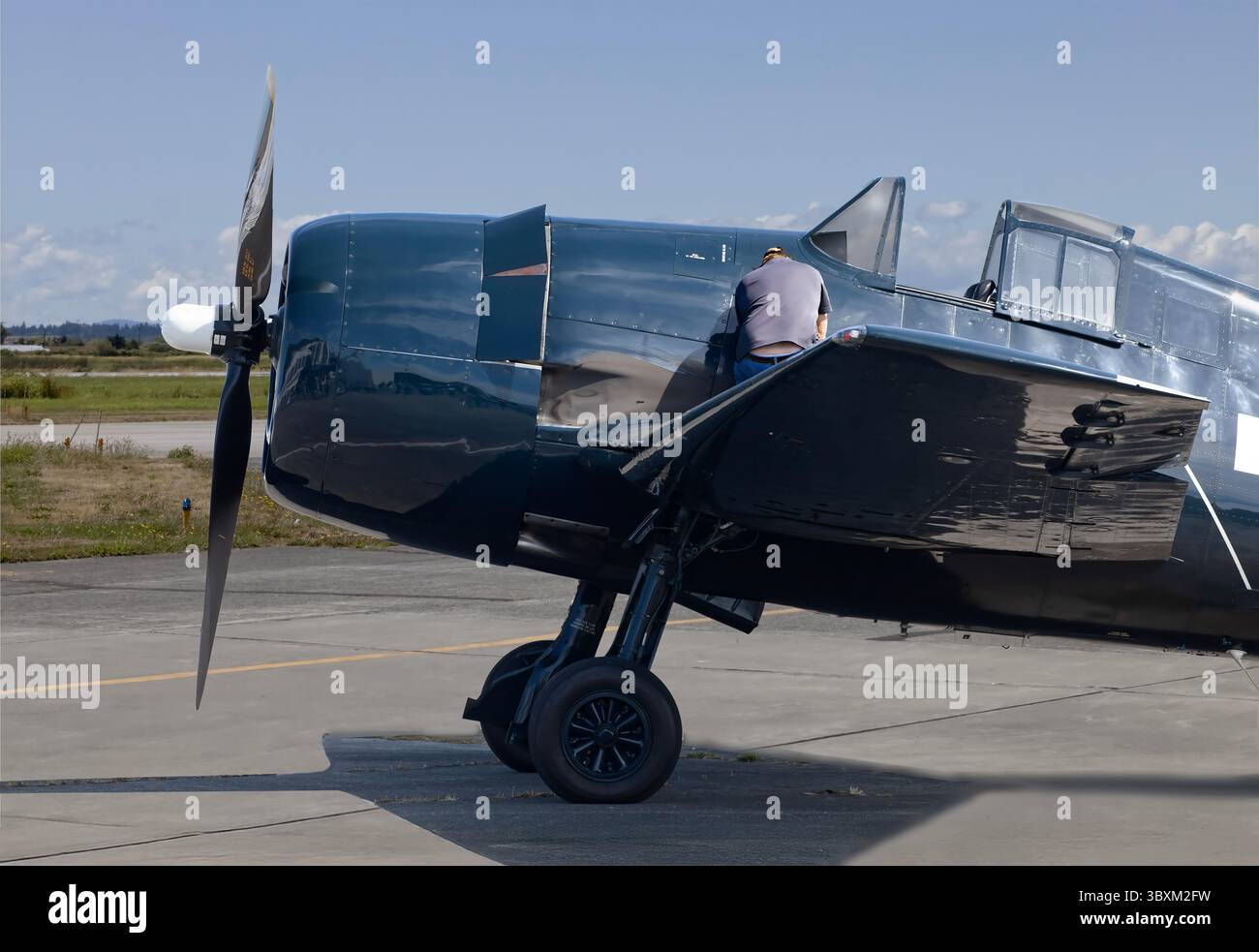 Grumman F6F Hellcat in der Boundary Bay Canada Stockfoto
