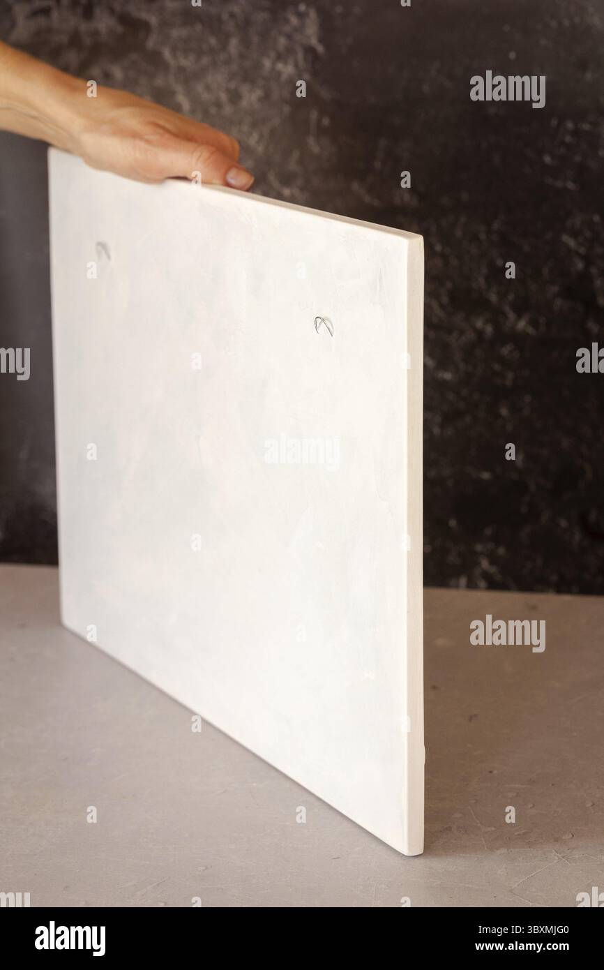 Rückseite des botanischen Flachreliefs aus Ton mit Haken zum Aufhängen an der Wand für stilvolle Wohnzimmereinrichtung. 3D-Blumenputz. Modern und luxuriös Stockfoto