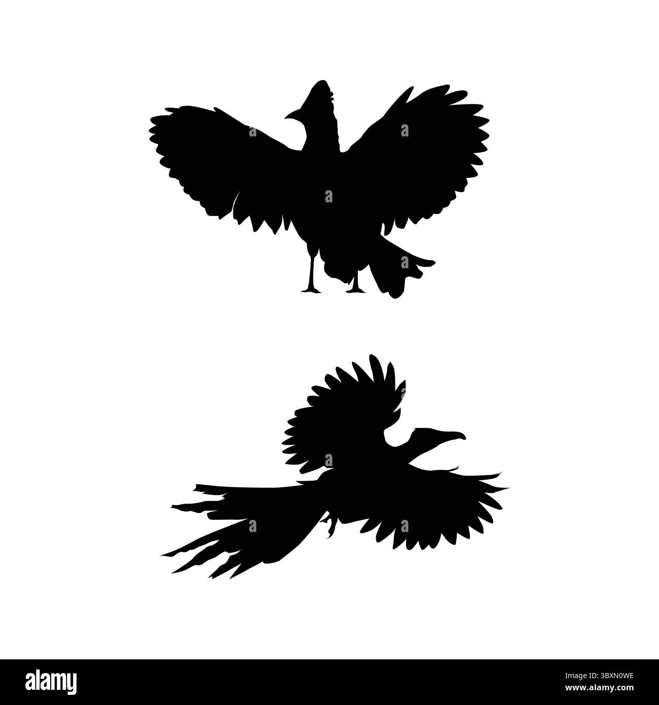 Satz von Roadrunner Vogel schwarze Silhouetten Illustration auf weißem Hintergrund Vol 03 Stock Vektor