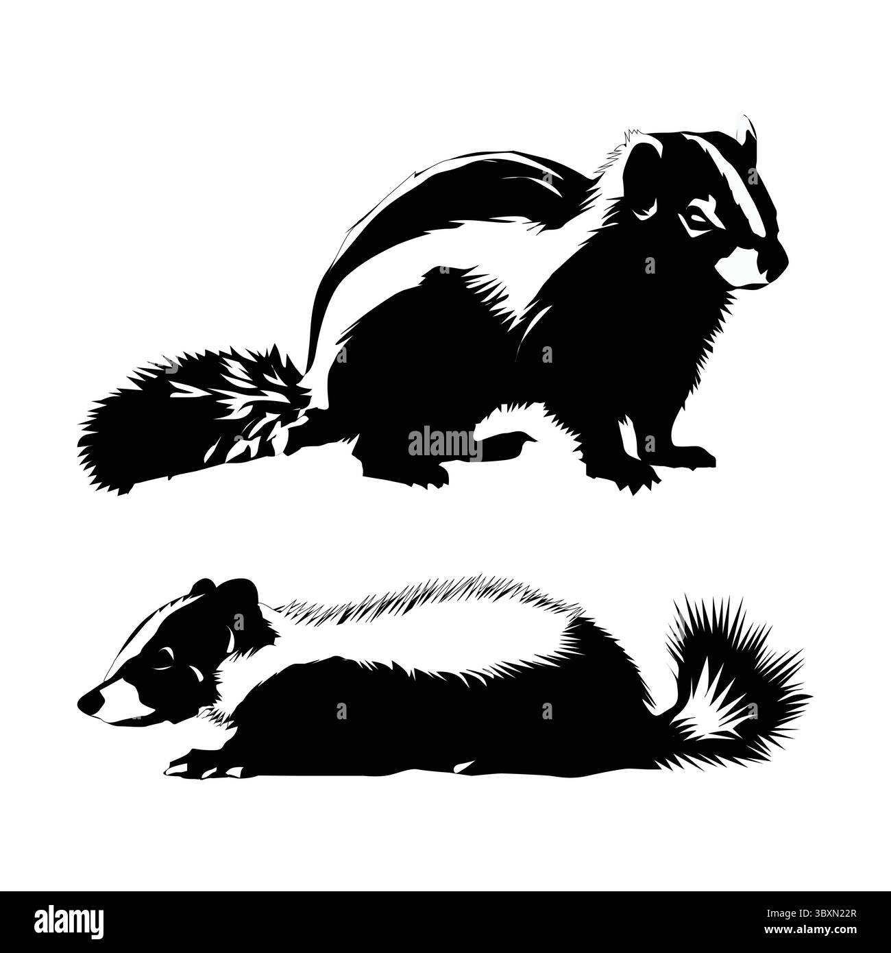 Set aus Skunk-Silhouette, Schwarz und weiß mit weißem Hintergrund Vol 03 Stock Vektor