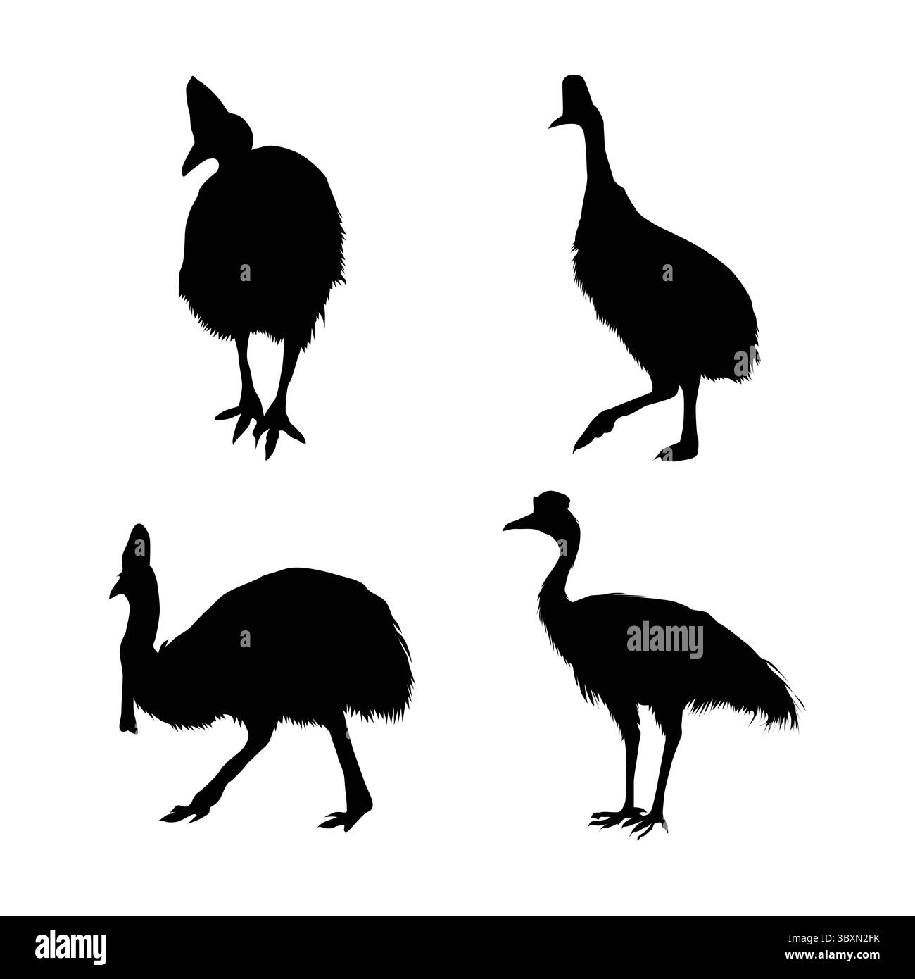 Set aus schwarzen Silhouetten mit südlichem Kasuar Band 02 Stock Vektor