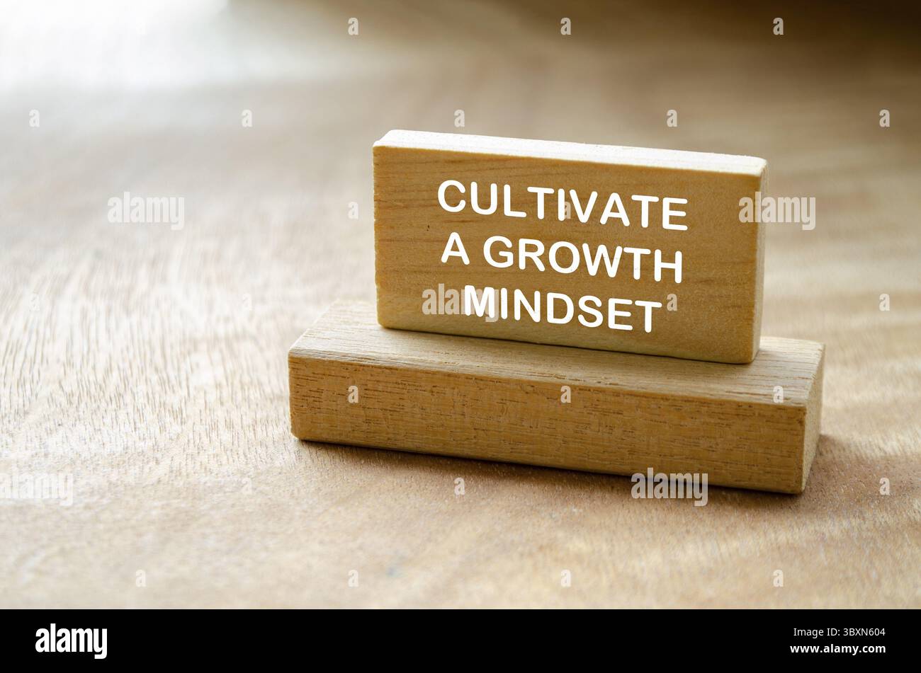 Entwickeln Sie Eine Wachstumseinstellung Aufgaben Text auf Holzblock mit anpassbarem Platz für Text Stockfoto