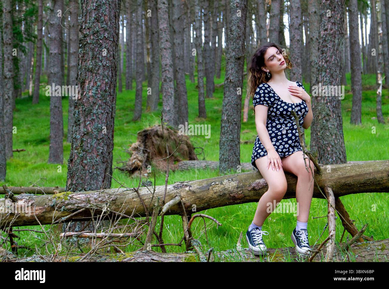 In den Angus Glens in der Nähe von Kirriemuir posiert eine attraktive Frau in der luftigen Sommersonne in den Wäldern von Glen Clova in Schottland, Großbritannien Stockfoto