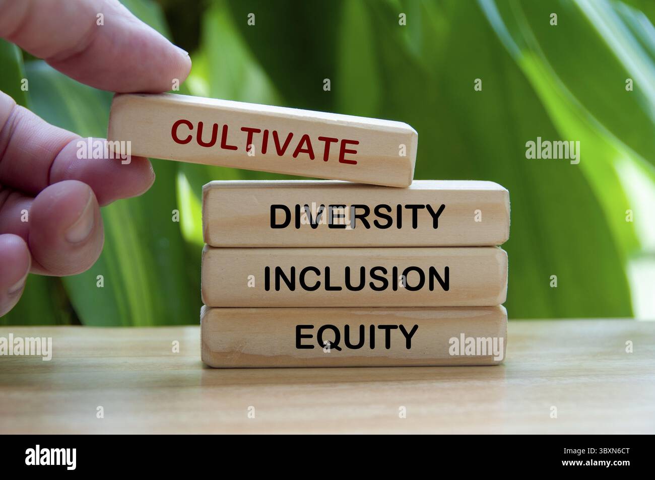 Handplatzierung Kultivieren Sie Diversity, Inklusion und Equity Holztext mit verschwommenem Naturhintergrund Stockfoto
