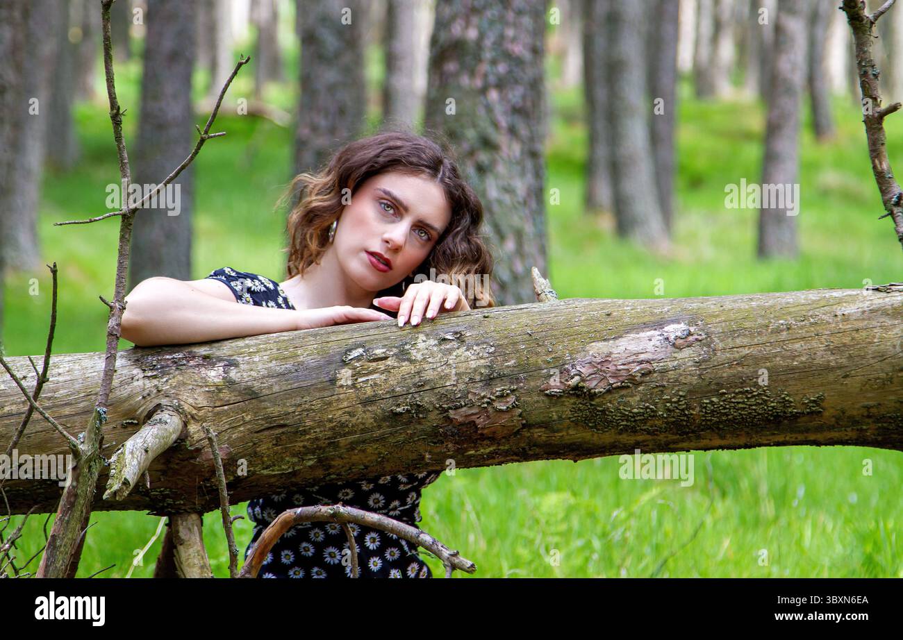 In den Angus Glens in der Nähe von Kirriemuir posiert eine attraktive Frau in der luftigen Sommersonne in den Wäldern von Glen Clova in Schottland, Großbritannien Stockfoto