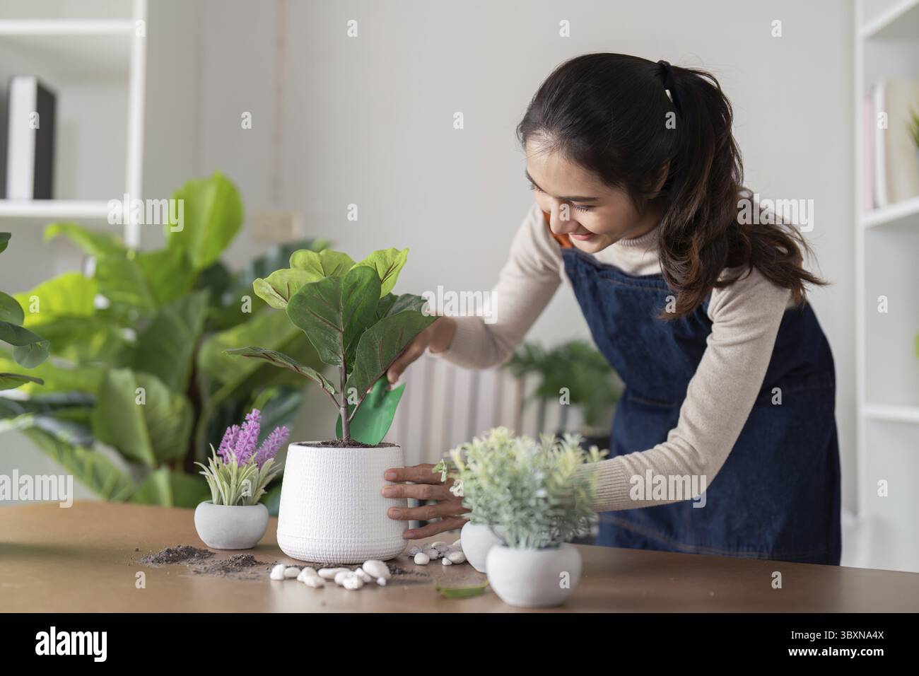 Eine junge Frau, die zu Hause mit Begeisterung Zimmerpflanzen pflanzt und ihre Liebe zum Garten und zur Natur zum Ausdruck bringt Stockfoto
