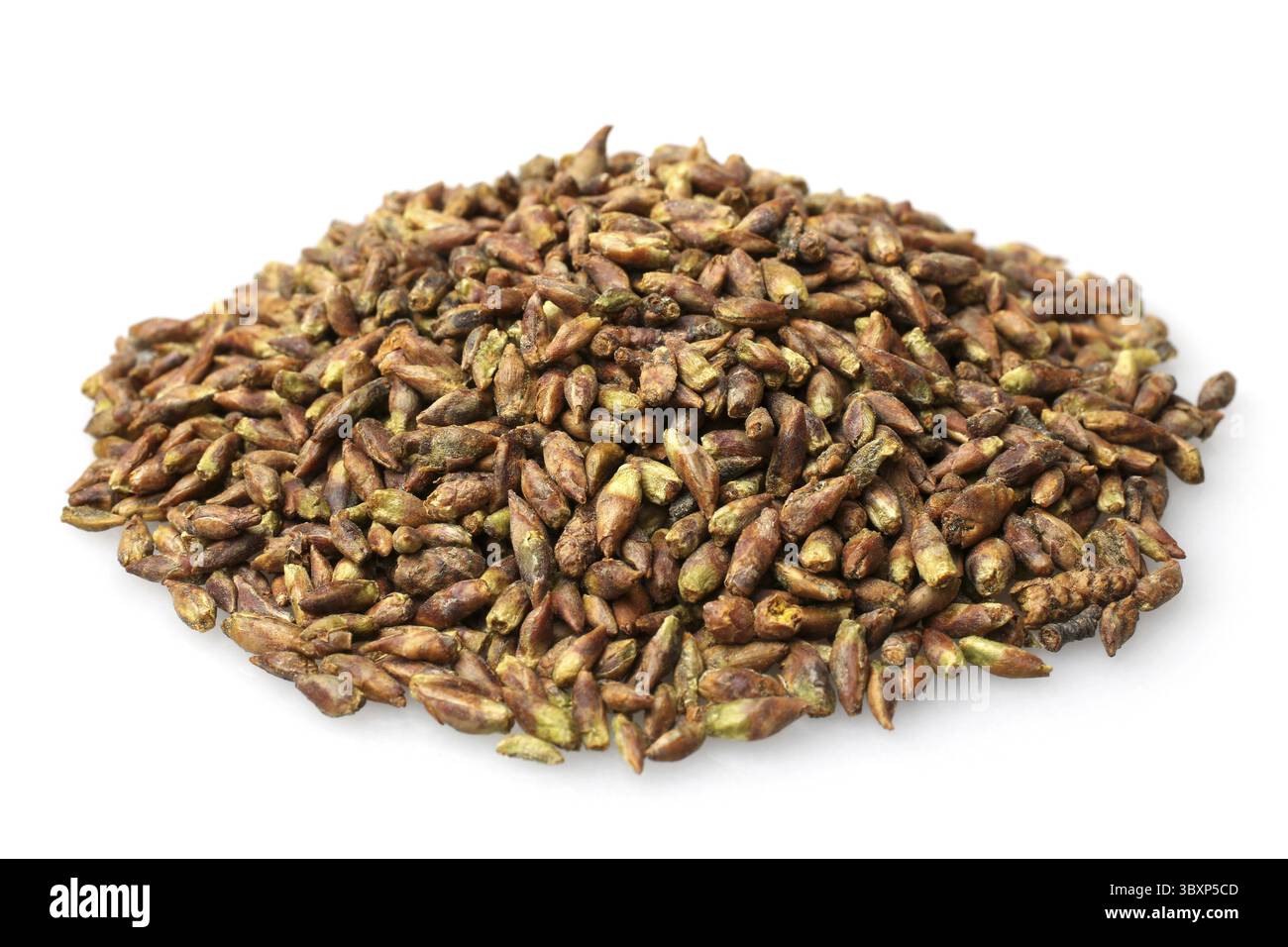 Getrocknete Birkenknospen auf weißem Hintergrund Stockfoto