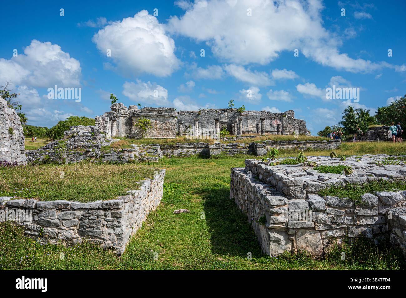 Eingang zu den Maya-Strukturen Stockfoto