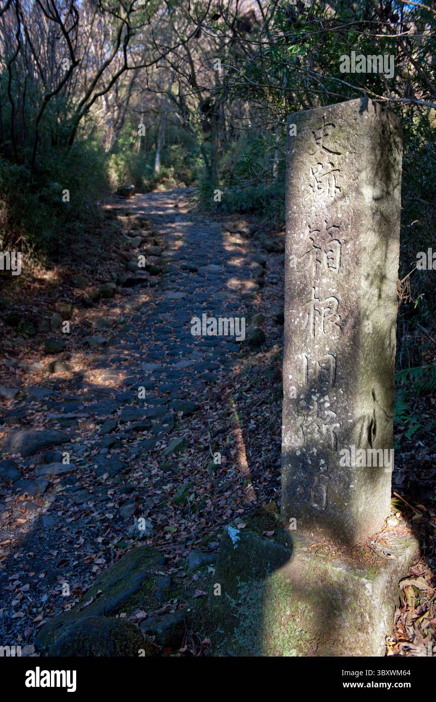Überreste des bewaldeten Kopfsteinpflasterwegs aus der Edo-Zeit Old Tokaido Highway, der sich zwischen Edo und Kyoto bei Hakone, Kanagawa, Japan erstreckt. Stockfoto