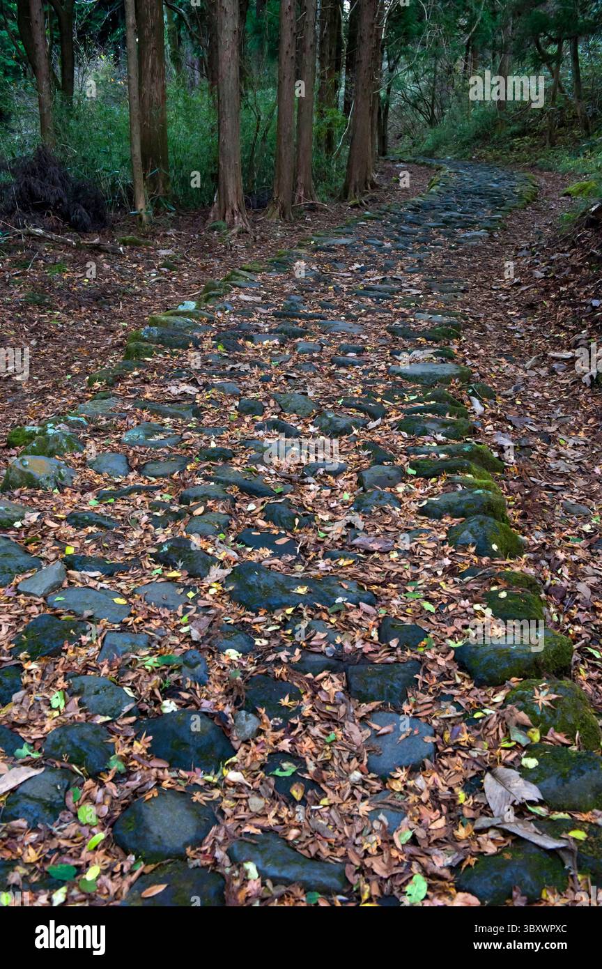 Überreste des bewaldeten Kopfsteinpflasterwegs aus der Edo-Zeit Old Tokaido Highway, der sich zwischen Edo und Kyoto bei Hakone, Kanagawa, Japan erstreckt. Stockfoto
