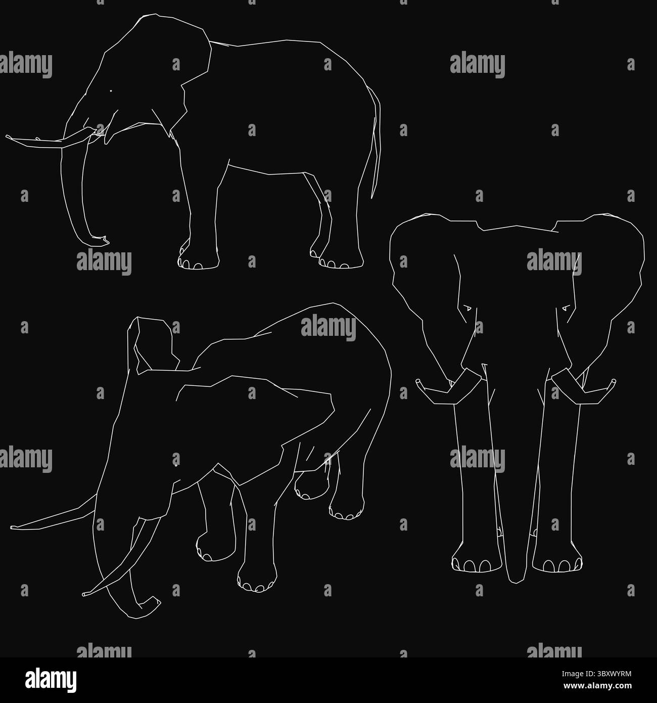 Drei Silhouetten von Elefanten sind auf schwarzem Hintergrund zu sehen. Der erste Elefant steht aufrecht, der zweite beugt sich und der dritte ist l Stock Vektor