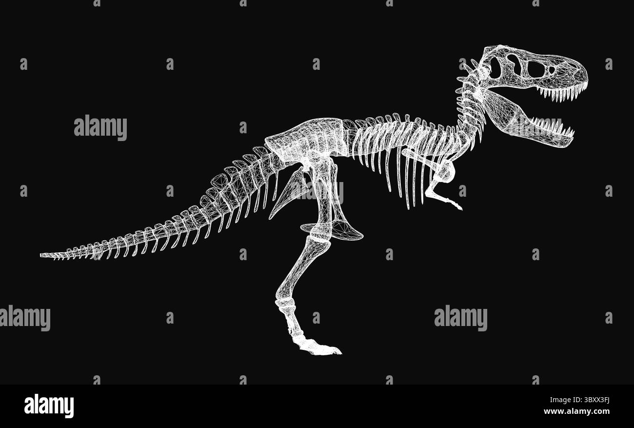 Tyrannosaurus Rex Skelett in 3D, auf schwarzem Hintergrund mit detaillierten Texturen dargestellt. Der lange Hals, die scharfen Zähne und der gekrümmte Schwanz sind hervorzuheben Stock Vektor