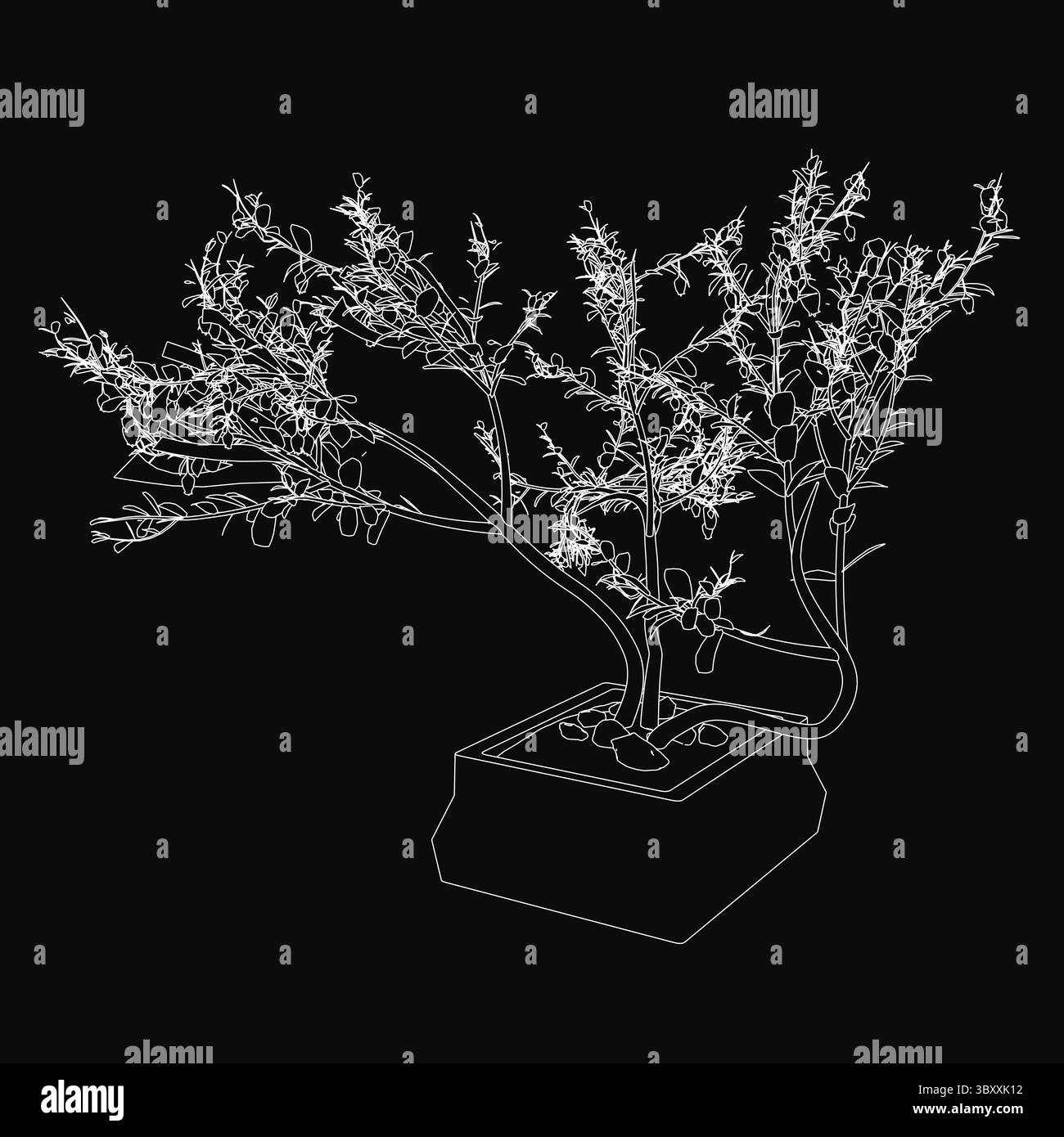 Ein zarter Bonsaibaum in einem neutralen Topf hebt sich vor schwarzem Hintergrund hervor, dessen weiße Silhouette komplizierte Äste und Blätter hervorhebt. Die cl Stock Vektor