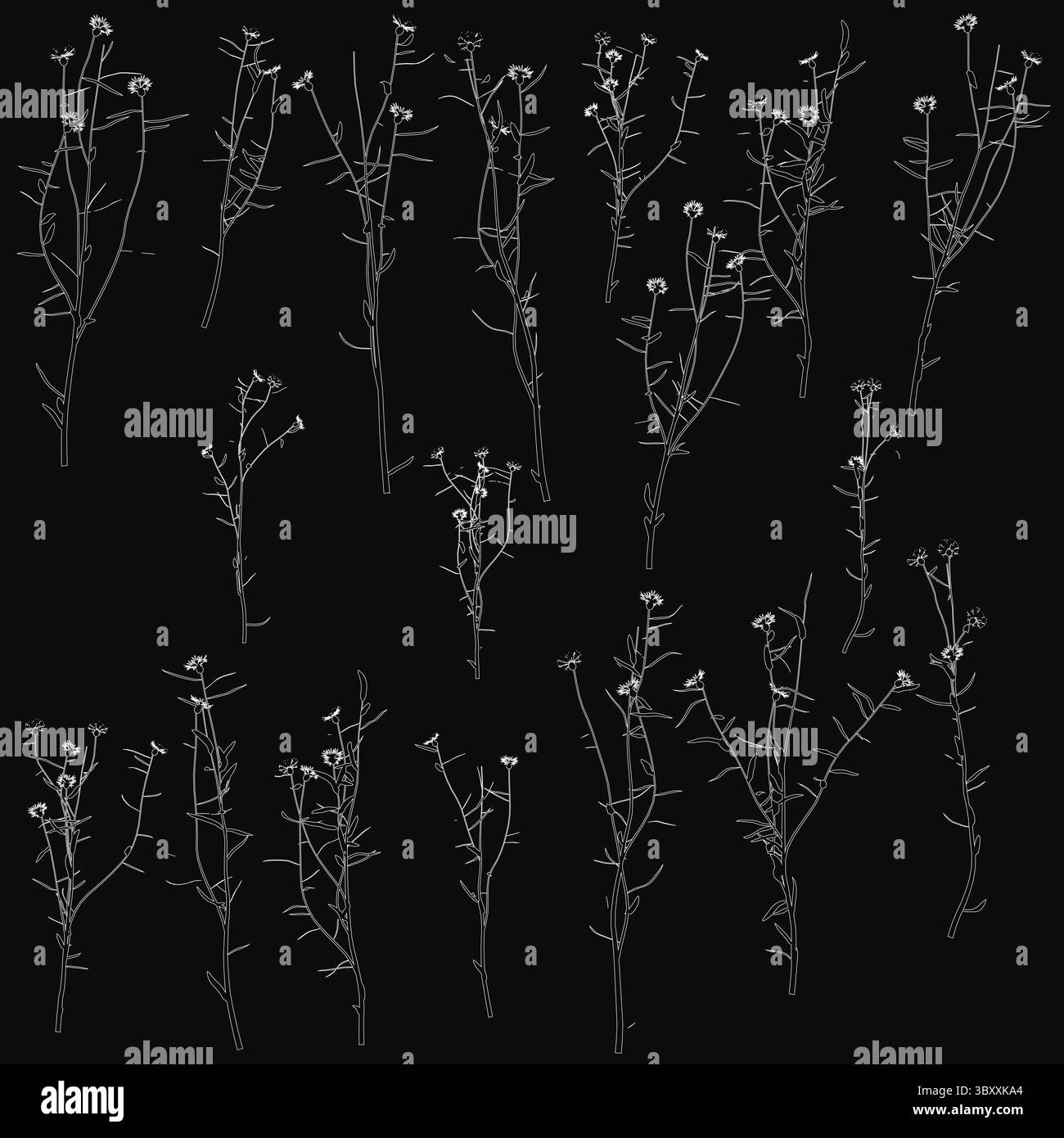 Weiße Blumen, die symmetrisch auf schwarzem Hintergrund angeordnet sind, erzeugen einen markanten Kontrast. Die zarten Blütenblätter heben sich vor dem dunklen Hintergrund deutlich hervor Stock Vektor