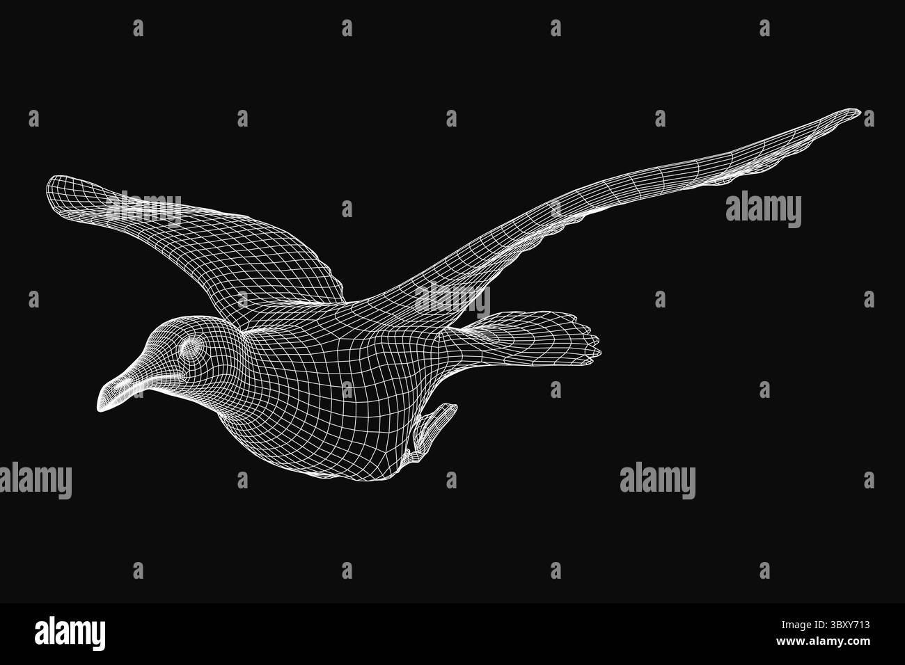 Eine 3D-Drahtmodell-Möwe in der Mitte des Fluges, die mit realistischen Details vor dunklem Hintergrund gerendert wird. Die Flügel des Vogels sind ausgestreckt und fangen dynamische m ein Stock Vektor