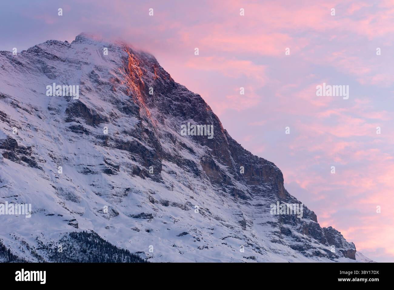 Der Eiger, 3967 m, Nordwand, von Grindelwald aus gesehen in einem Alpen-Schein der Dämmerung. Stockfoto