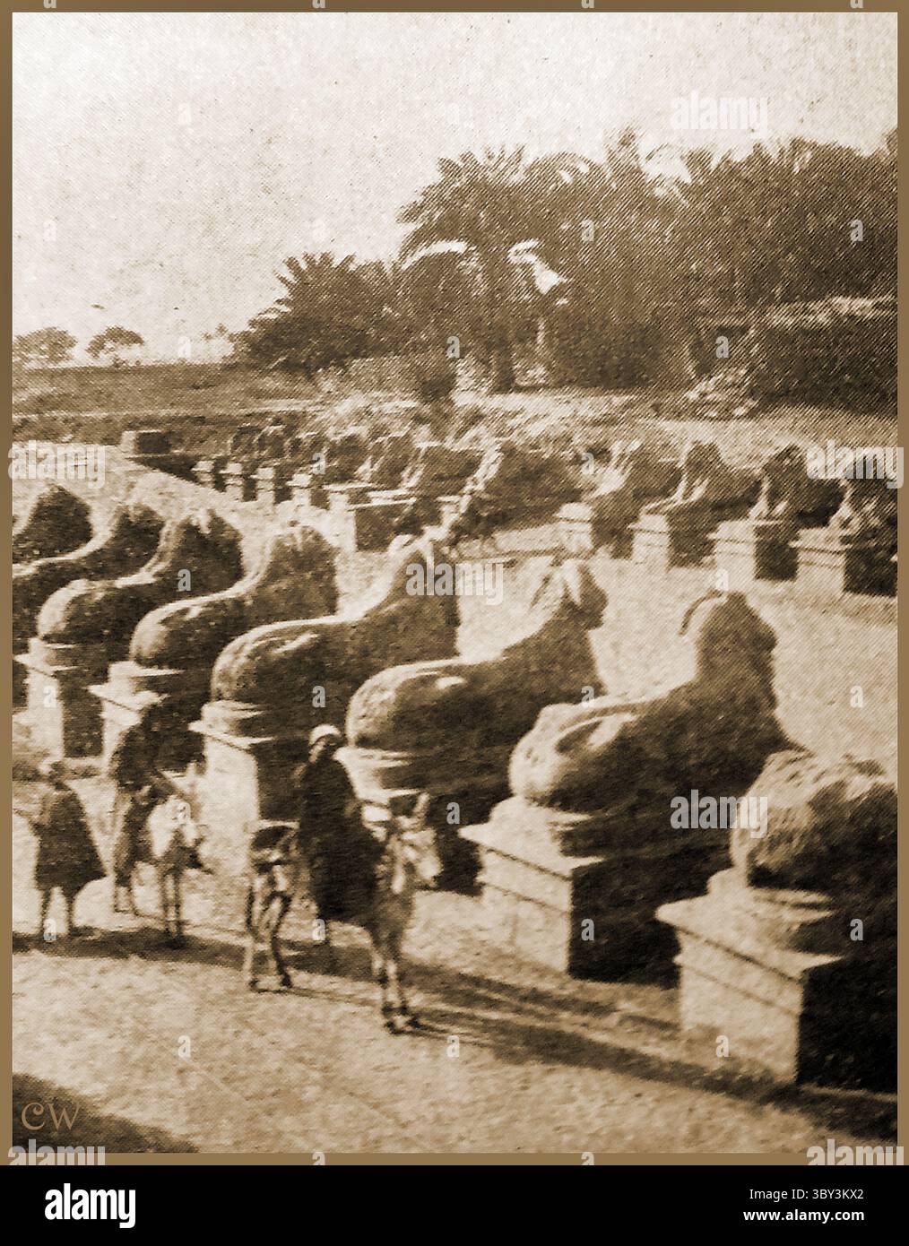Ein 1915 gedrucktes Bild der Avenue der Sphinxen in Karnak, Ägypten. Stockfoto