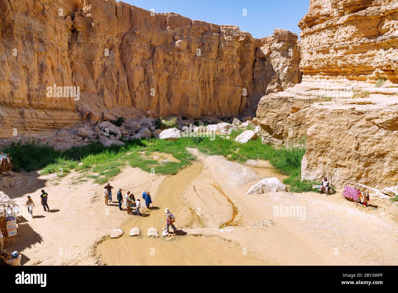 Canyon im Tal des Oued River in der Bergoase von Tamerza, Tunesien Stockfoto