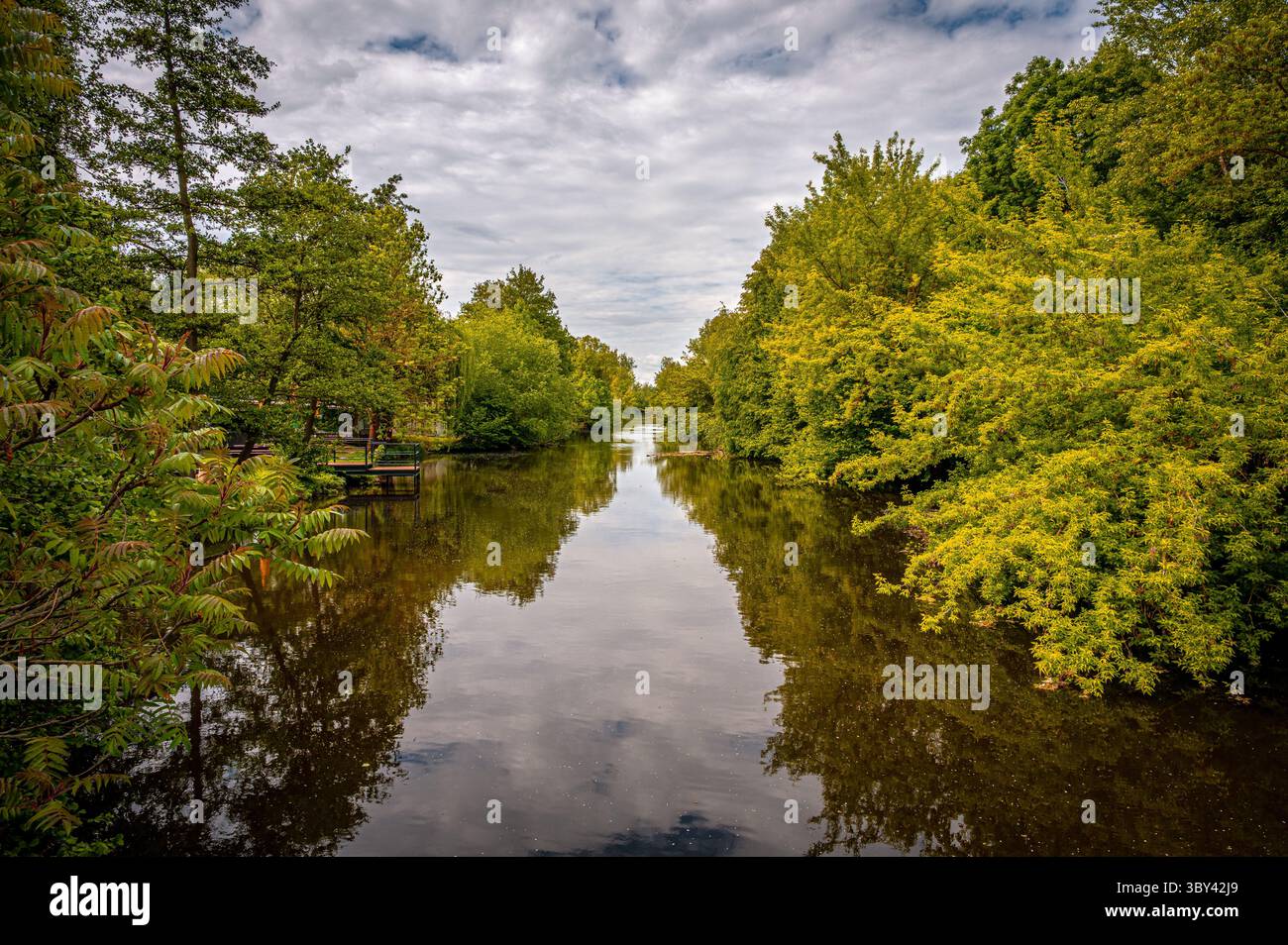 Reflektierende Wasseroberfläche der Saale mit üppigen Bäumen und Wolkenbedeckung, Porstendorf, Thüringen, Deutschland Stockfoto