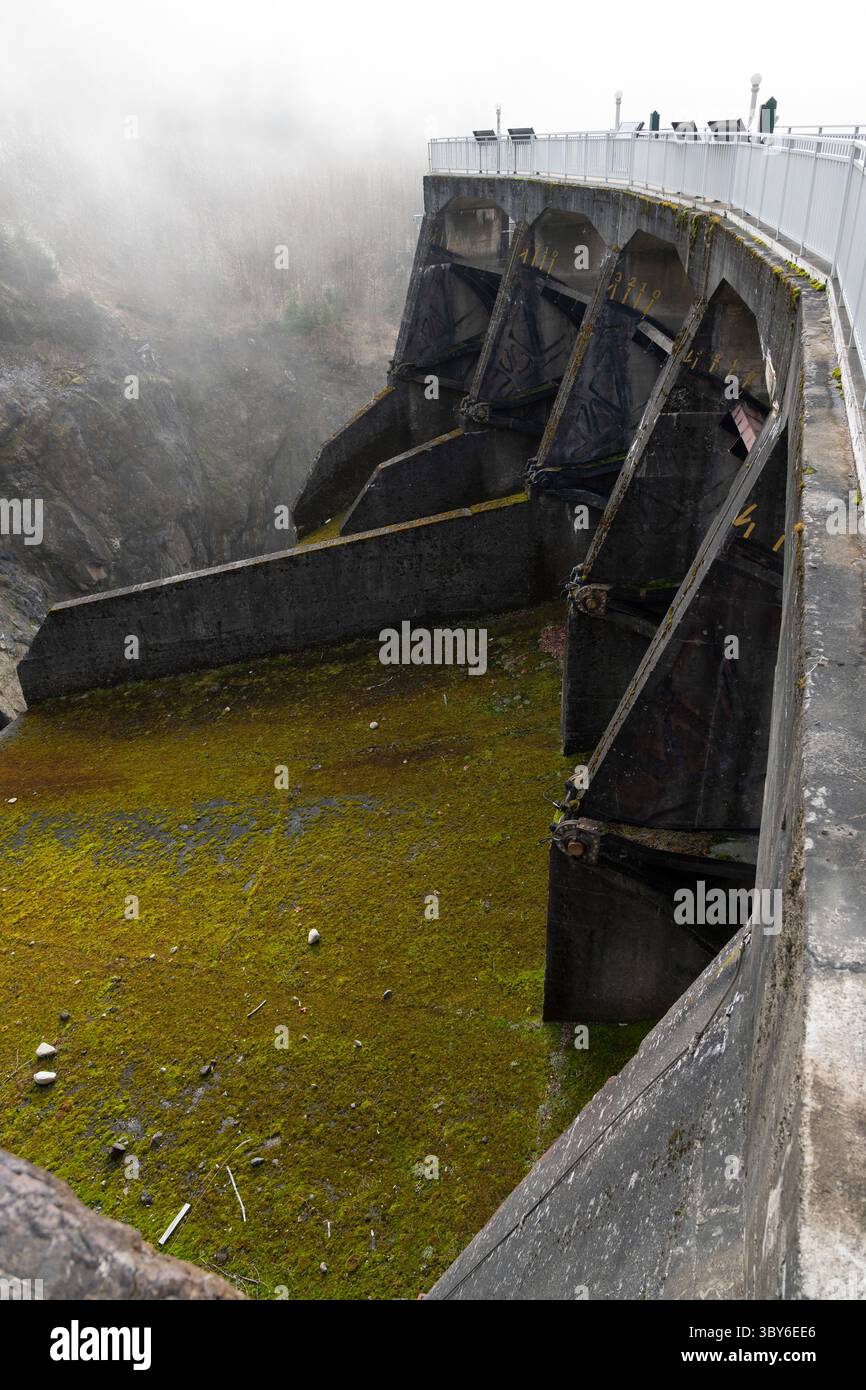 23. Januar 2022, Olympic National Park, Washington, USA: Ein Moosbett bedeckt den Überlauf des Glines Canyon Dam am Elwha River im Olympic National Park, Washington. Der 1927 erbaute Damm wurde 2012 zusammen mit dem Elwha-Damm acht Meilen flussabwärts im Rahmen des Elwha River-Ökosystemrestaurierungsprojekts abgerissen. (Foto: © Paul Christian Gordon/ZUMA Press Wire) Stockfoto