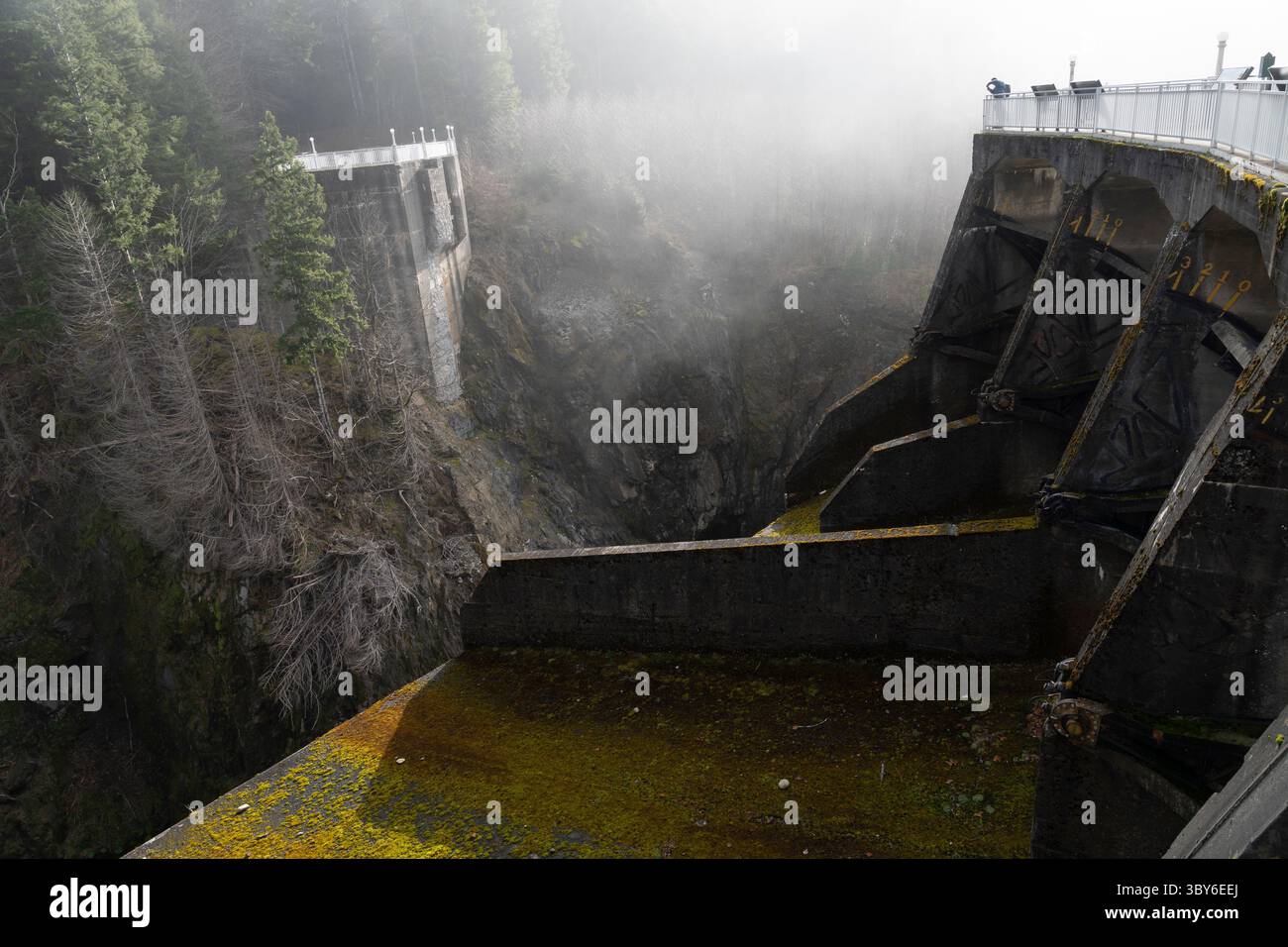 23. Januar 2022, Olympic National Park, Washington, USA: Ein Morgennebel umhüllt die Überreste des Glines Canyon Dam am Elwha River im Olympic National Park, Washington. Der 1927 erbaute Damm wurde 2012 zusammen mit dem Elwha-Damm acht Meilen flussabwärts im Rahmen des Elwha River-Ökosystemrestaurierungsprojekts abgerissen. (Foto: © Paul Christian Gordon/ZUMA Press Wire) Stockfoto