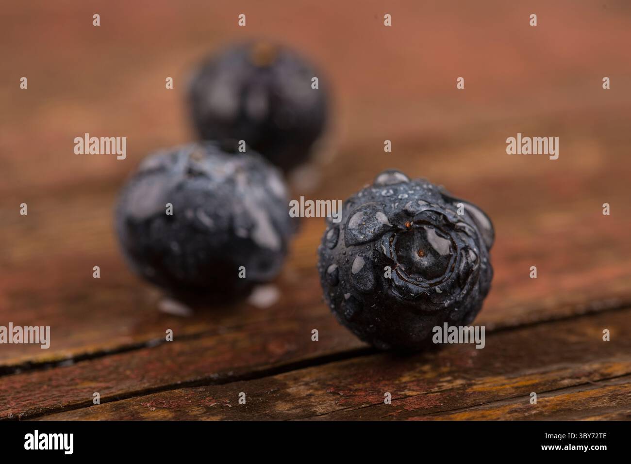 Frische Heidelbeeren mit Wassertropfen Stockfoto