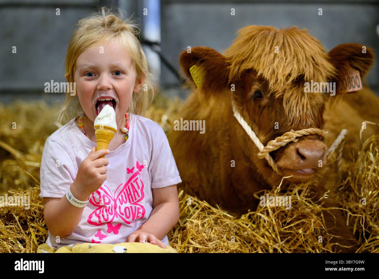 Royal Highland Show, Royal Highland Centre, Ingliston, Edinburgh, Schottland, UK Stockfoto