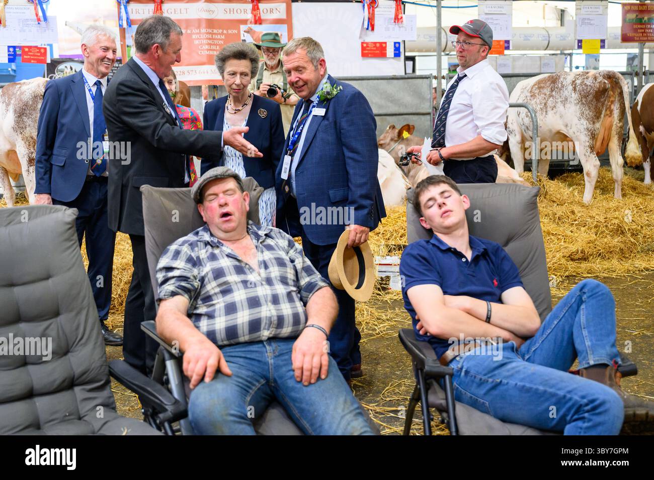 Royal Highland Show, Royal Highland Centre, Ingliston, Edinburgh, Schottland, UK Stockfoto
