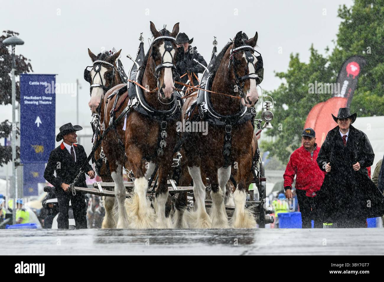 Royal Highland Show, Royal Highland Centre, Ingliston, Edinburgh, Schottland, UK Stockfoto