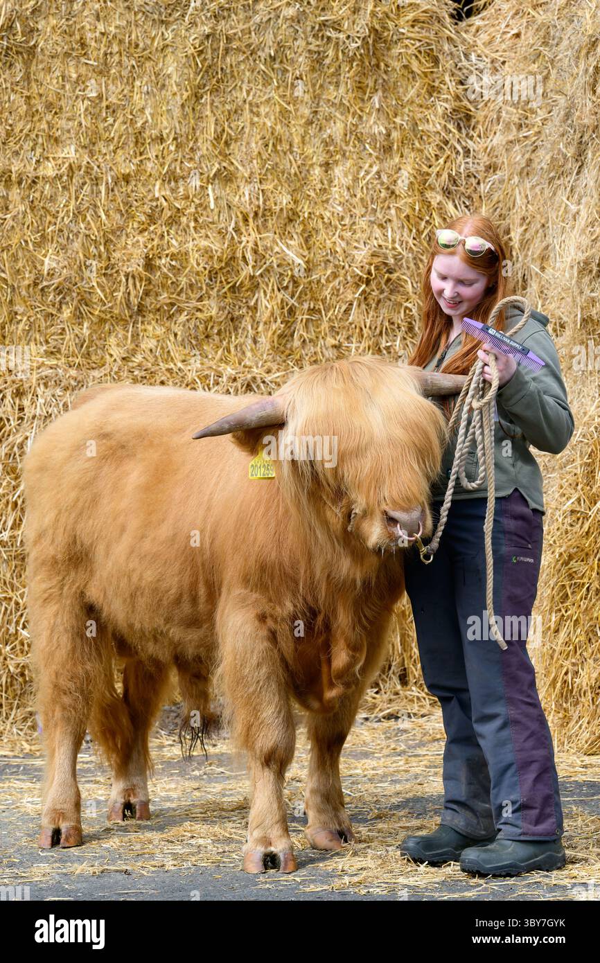 Royal Highland Show, Royal Highland Centre, Ingliston, Edinburgh, Schottland, UK Stockfoto