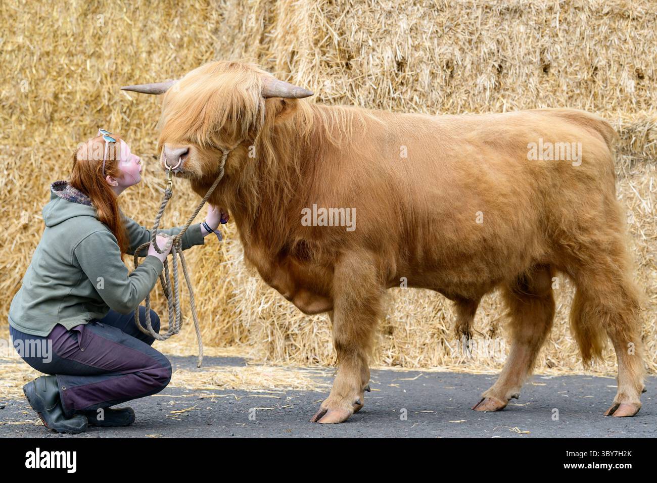 Royal Highland Show, Royal Highland Centre, Ingliston, Edinburgh, Schottland, UK Stockfoto