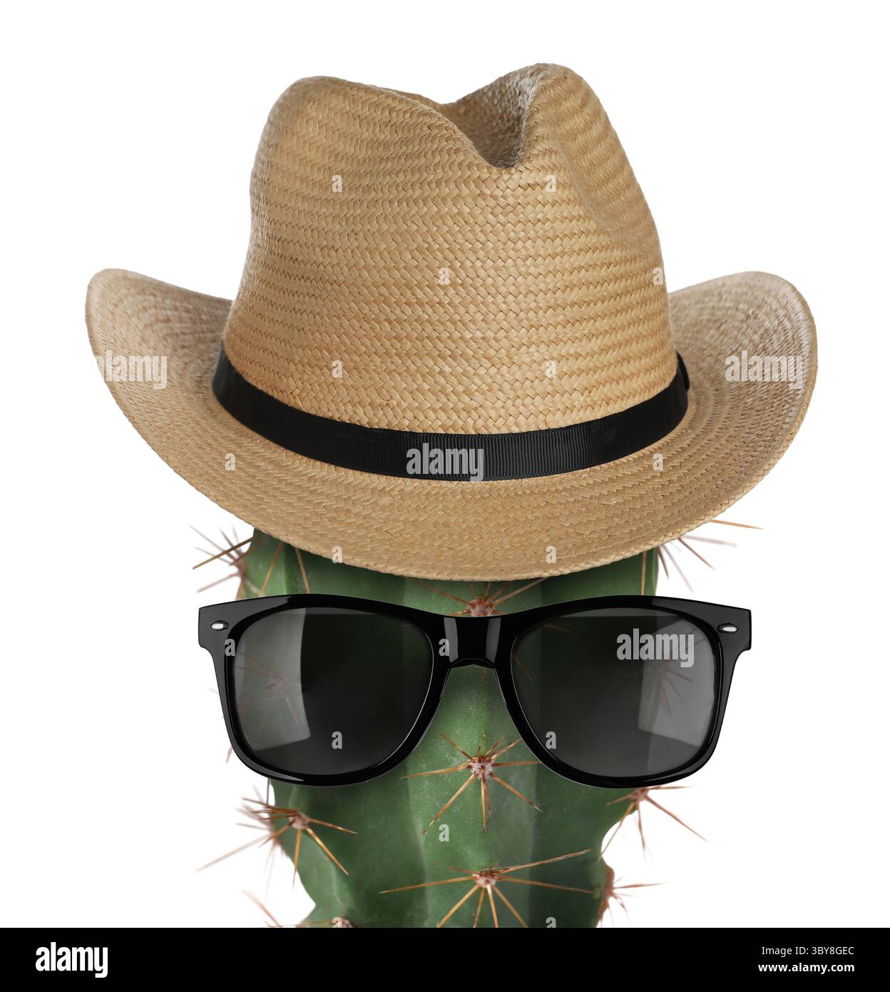 Kakteen mit Sonnenbrille und Hut auf weißem Hintergrund Stockfoto