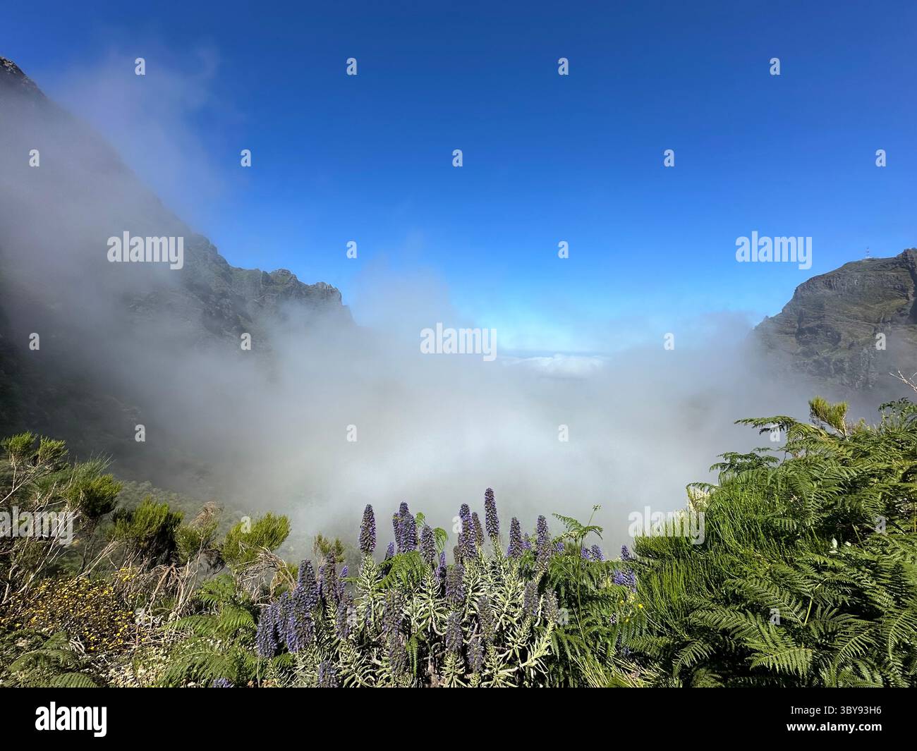 Nahaufnahme von Wolken - Smartphone-aufgenommenes Stockfoto