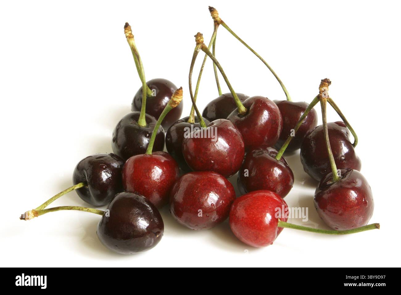 Rote Kirschen auf weißem Hintergrund Stockfoto