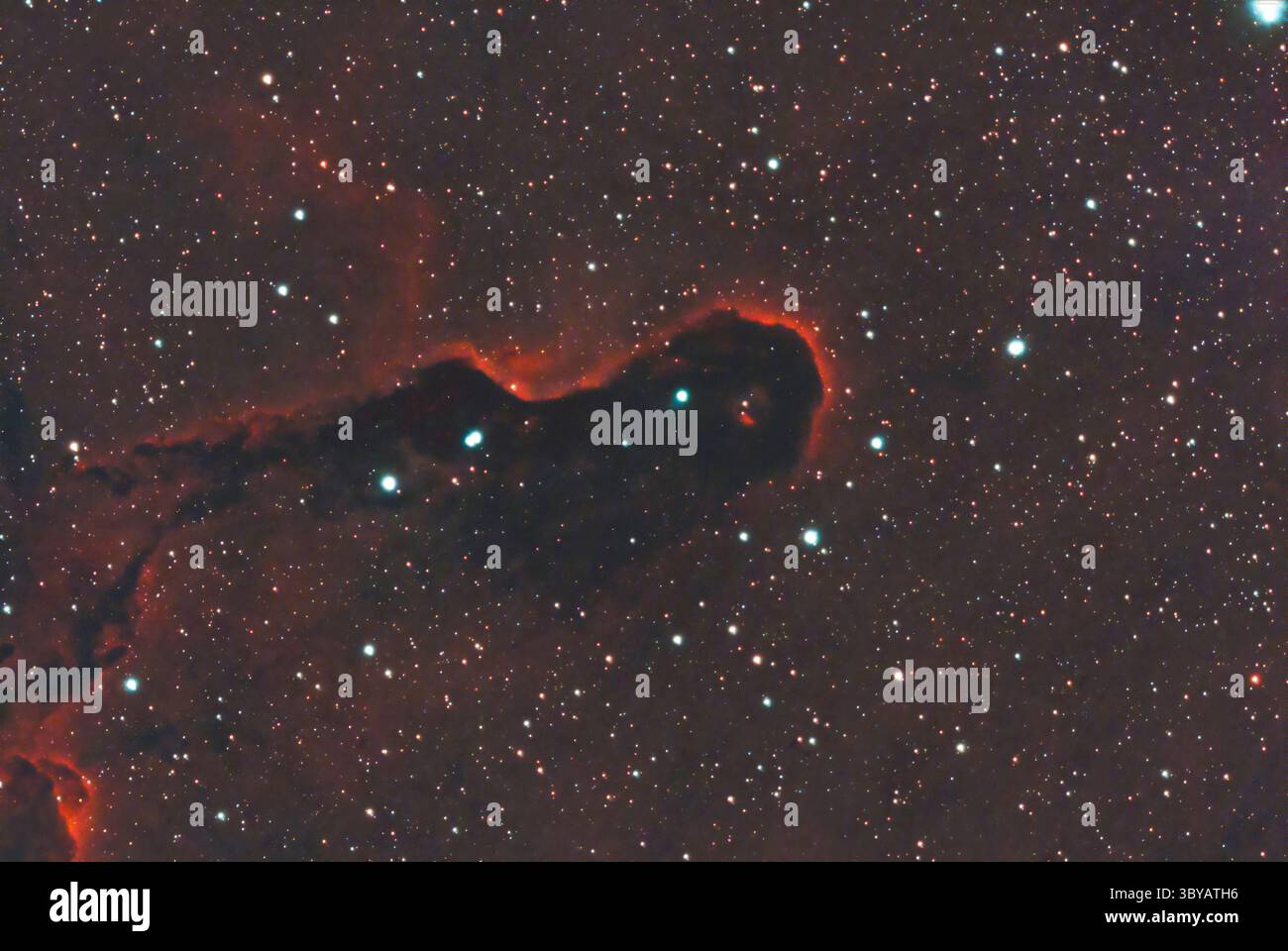 Elefanten-Stammnebel (IC 1396A) eine Konzentration von interstellarem Gas und Staub im Sternbild Cepheus Stockfoto