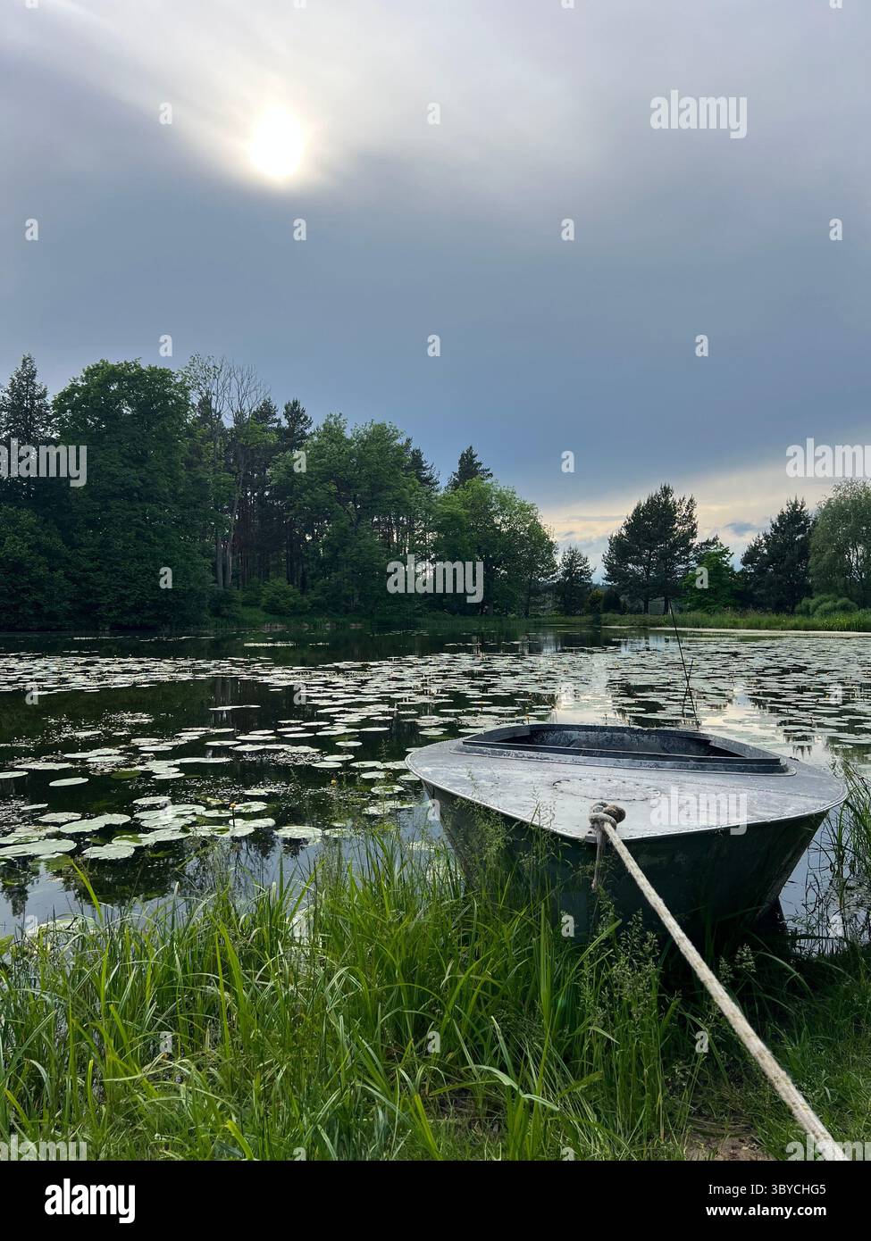 Ruderboot liegt an einem mit Lilien bedeckten See im Botanischen Garten von Vilnius, Litauen, unter einem ruhigen, bedeckten Sommerhimmel. Friedliche Naturszene mit üppigen Bäumen - Smartphone-aufgenommenes Stockfoto