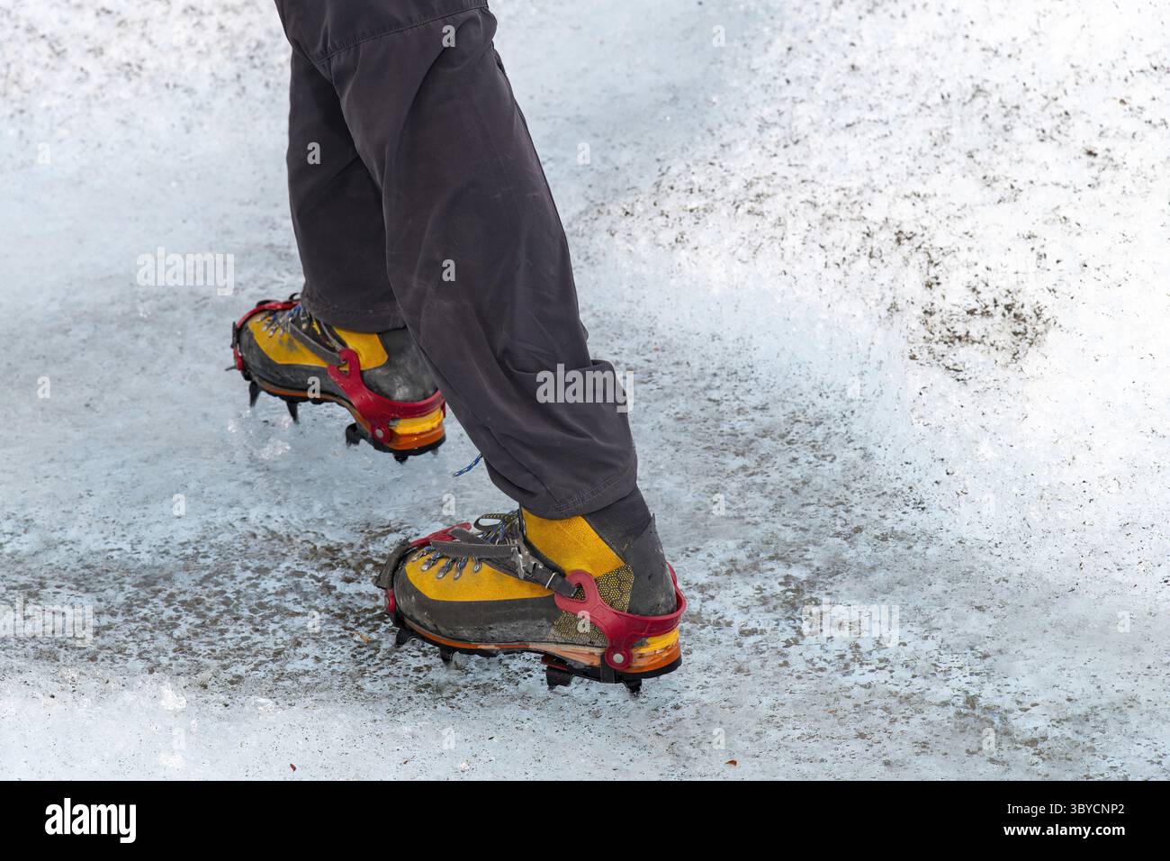 Nahaufnahme der Beine einer Person auf der eisigen Oberfläche eines Gletschers mit Bergsteigerstiefeln und Steigeisen Stockfoto