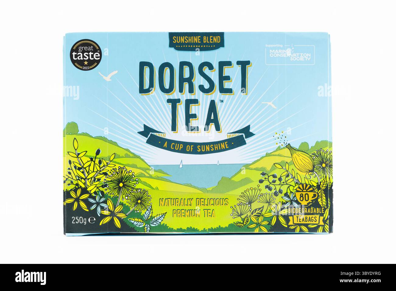 Eine Studio-Aufnahme einer Schachtel Dorset-Tee auf weißem Hintergrund. Stockfoto