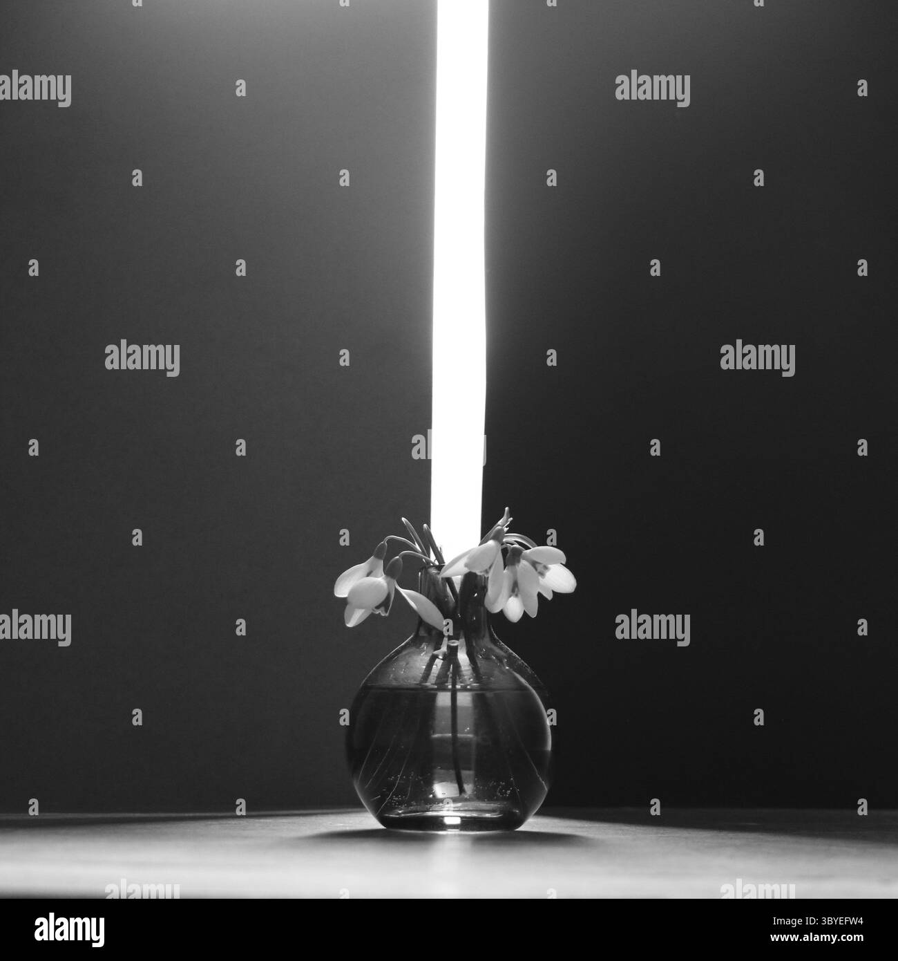 Ein einsames, rundes Glas Blumen steht hinter sich öffnenden Toren, bereit, ein neues Leben zu erleben. Stockfoto